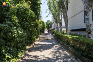 Pis a Parque Nueva Granada
