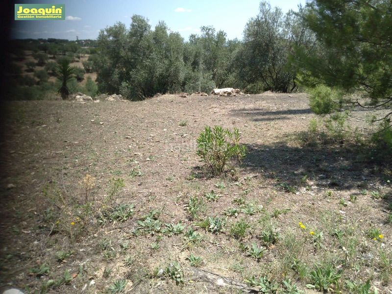 Foto 2015bf57-990f-463c-9310-47929bdc60a7. Finca rústica a Las Jaras Córdoba