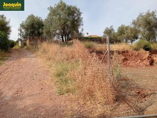Propriété à Santa Rosa - Valdeolleros. Se vende terreno rústico en torreblanca