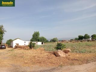 Mas à Alcolea. Gran finca zona quemadillas.