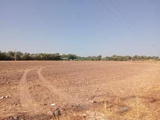 Finca rústica en El Higuerón
