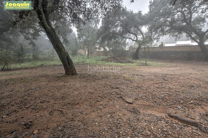 Foto 90a77f35-9fff-4559-9c0a-fa1ee3df19bf. Masia amb piscina a El Higuerón Córdoba