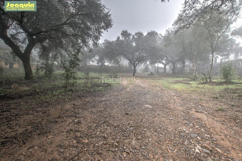 Foto d9ade46d-c1e6-487a-8cec-1a2c8c13f540. Masia amb piscina a El Higuerón Córdoba