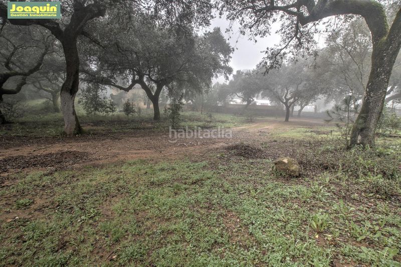 Foto ff490bc5-7e78-47b5-8ccd-08b71bd0fe88. Masia amb piscina a El Higuerón Córdoba