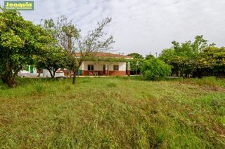 Masia en Alcolea. Parcela con casa y piscina en urb. la campi�uela