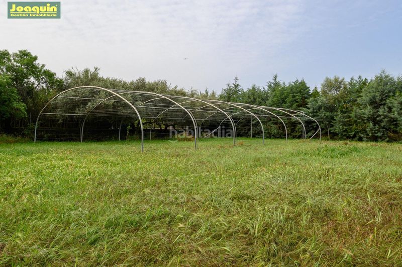 Foto 6d7a5aeb-50f0-4fdc-9463-9f19a9a90a56. Masia a Alcolea Córdoba