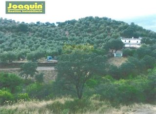 Residential Plot in Villa del Río. Parcela de 13.272 metros de terreno vallada en montoro.