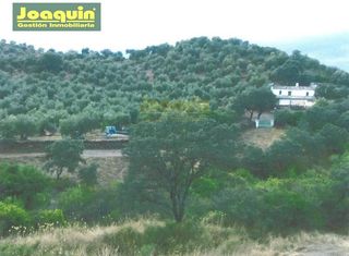 Residential Plot in Villa del Río. Parcela de 13.272 metros de terreno vallada en montoro.