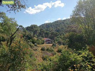 Masia en Las Jaras. Parcela r�stica con casa, no hipotecable.