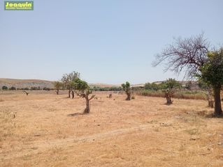 Masia a Sta. Marina - San Andrés - San Pablo - San Lorenzo