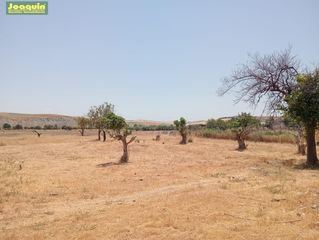 Masia a Sta. Marina - San Andrés - San Pablo - San Lorenzo. Finca rustica con casa