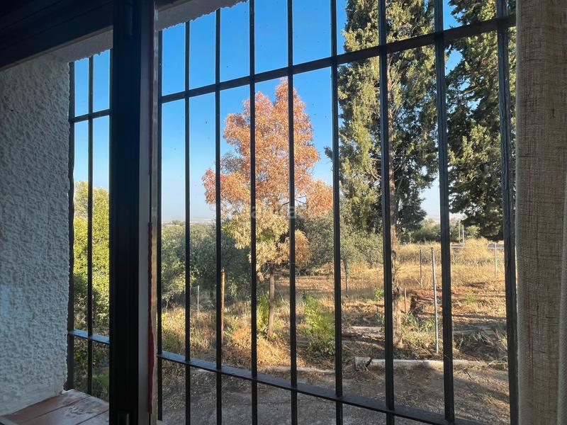 Foto 49643605-b357-43f1-852a-d91728277e78. Casa in El Higuerón Córdoba