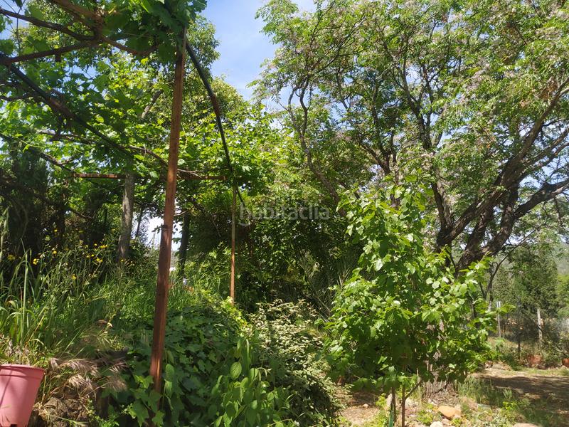 Foto b2d4f1cf-1013-4be3-bbec-a12a524ed5f8. Casa in El Higuerón Córdoba