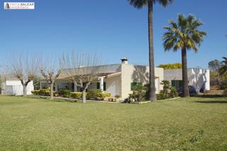 Masia a Port d´Alcúdia-Platja dÁlcúdia. Magnifica finca rústica junto a la reserva natural de salbufera