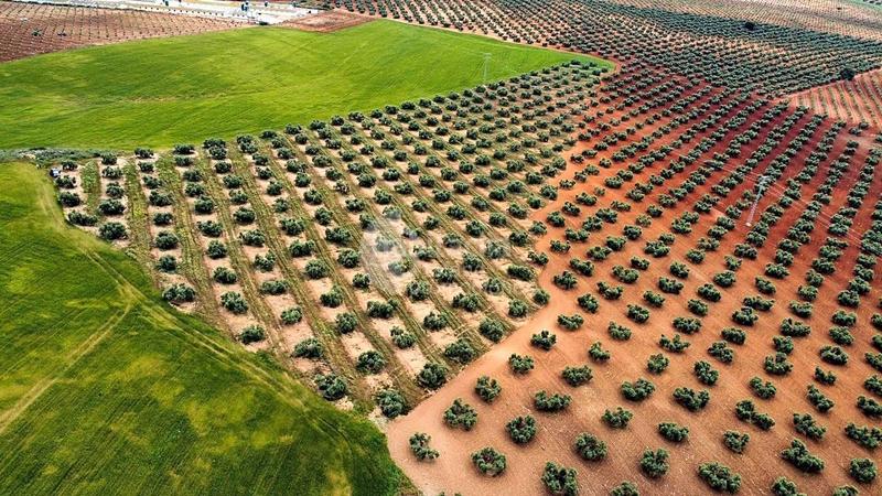 Foto 2a4533b8-a1fe-4c73-bed5-706ee9b07b91. Terreny residencial a Campillos