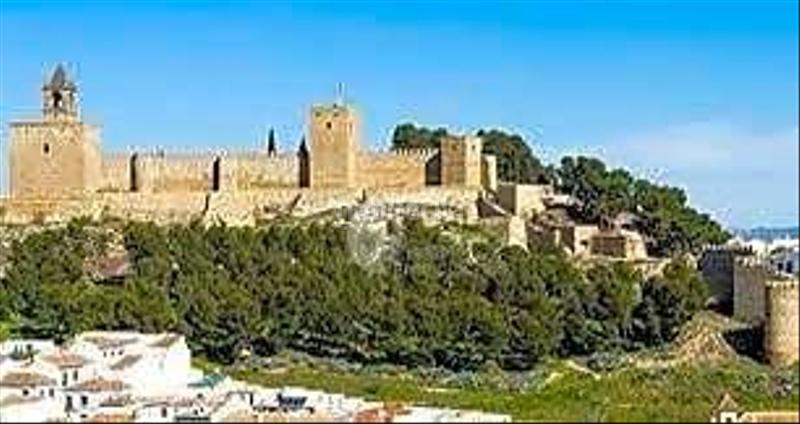 Foto b8ad7837-d058-47c7-a0dd-97494c11354b. Terreny residencial a Campillos