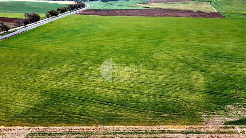 Foto 9bad5ed3-8823-40df-9679-f68470b66b88. Terreny residencial a Campillos