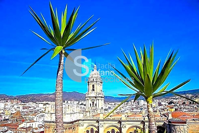 Foto 10099b1b-6f1c-4576-b67b-9524d05a2aee. Pis amb aparcament a Parque Victoria Eugenia Málaga