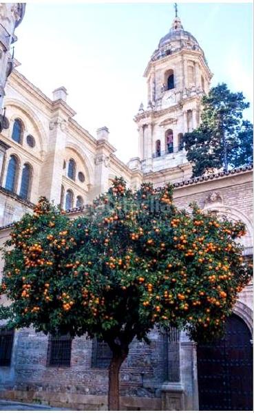 Foto 3160cdc7-5893-432c-9265-ca8d95e45831. Doppelhaus mit parking pool in Pedregalejo - Morlaco Málaga