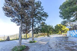 Masia  Del colmenar. Su negocio finca o inversion en plena naturaleza y cerca de mála