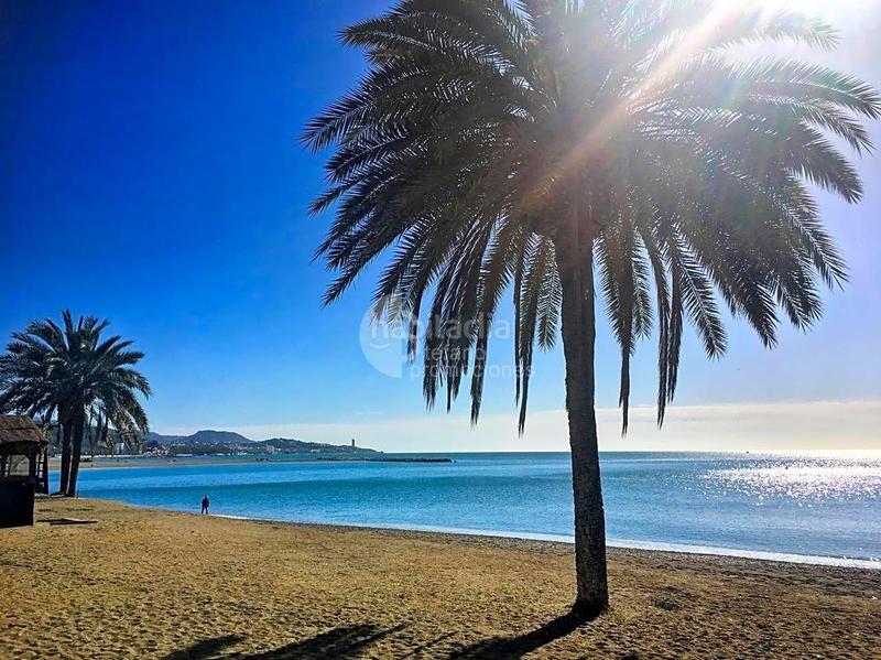 Foto 05dfdc8b-15a2-4bd2-a260-959441a9eb78. Haus mit parking in Limonar Málaga