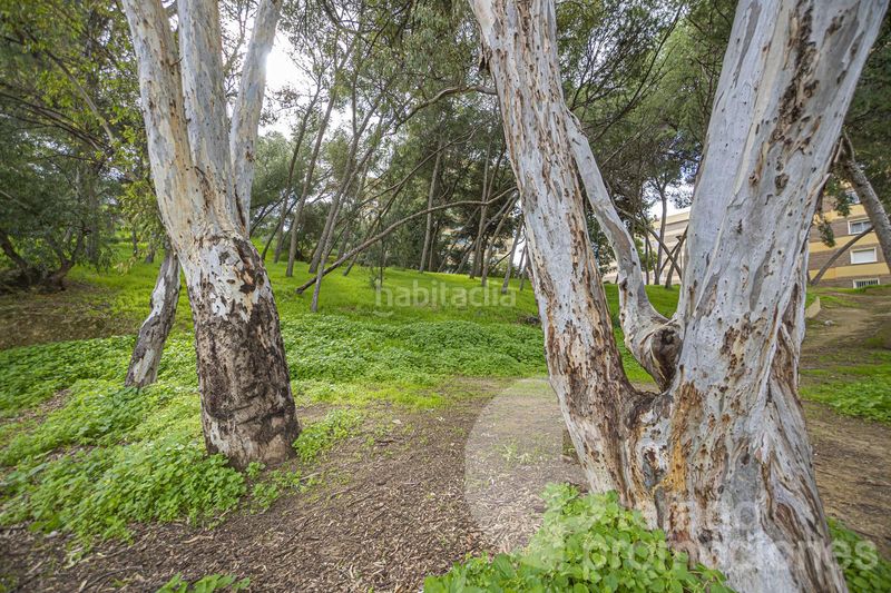 Foto 55323f99-4fd9-4c0a-8554-5afc42e26955. Pis amb aparcament piscina a El Palo Málaga