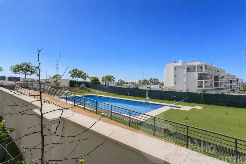 Foto 63bae06d-846e-45cd-b0f5-915cc7eb8050. Planta baixa amb aparcament piscina a Santa Isabel Málaga