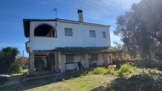Masia a Pilas. Magnífica finca en pilas con bodega de vino mosto del aljarafe!!