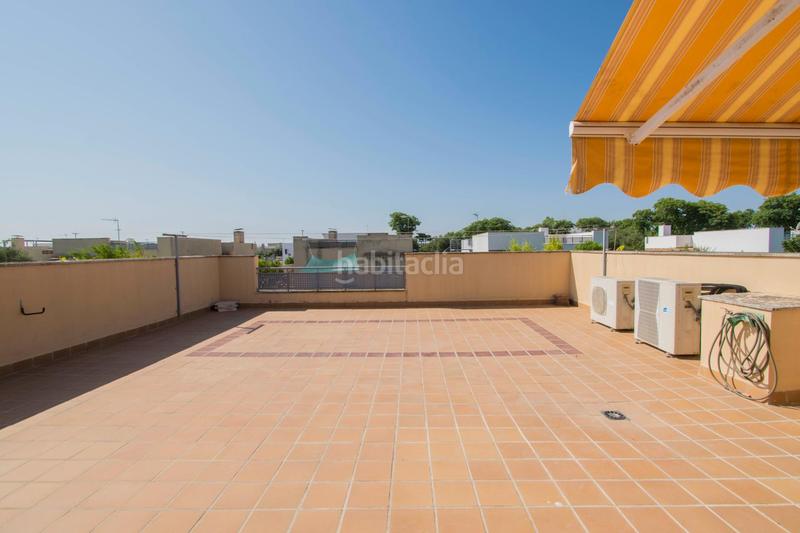 Foto 50a7e7ad-852c-4a48-89ee-b0bd26620738. Casa amb calefacció aparcament piscina a Espartinas pueblo Espartinas
