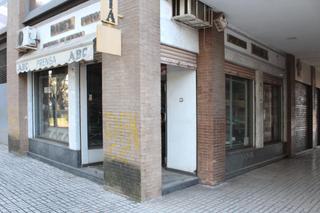 Local Comercial en Parque Alcosa