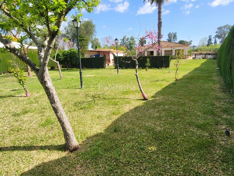 Foto 1e3f677b-25c1-40f5-8557-0f1095fe2e42. Chalet gran chalet , en la dehesa!!!! en Pilas