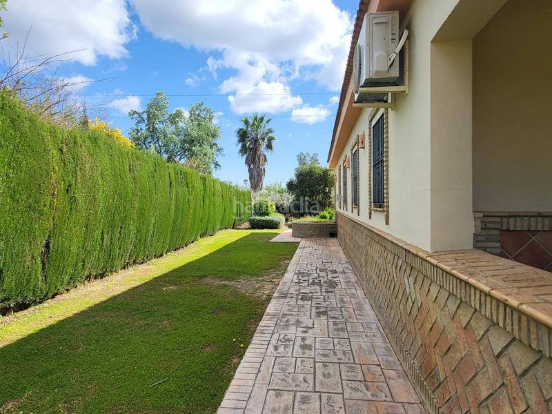 Foto d4104e54-687c-483c-a5b6-152ee3da128e. Chalet gran chalet , en la dehesa!!!! en Pilas