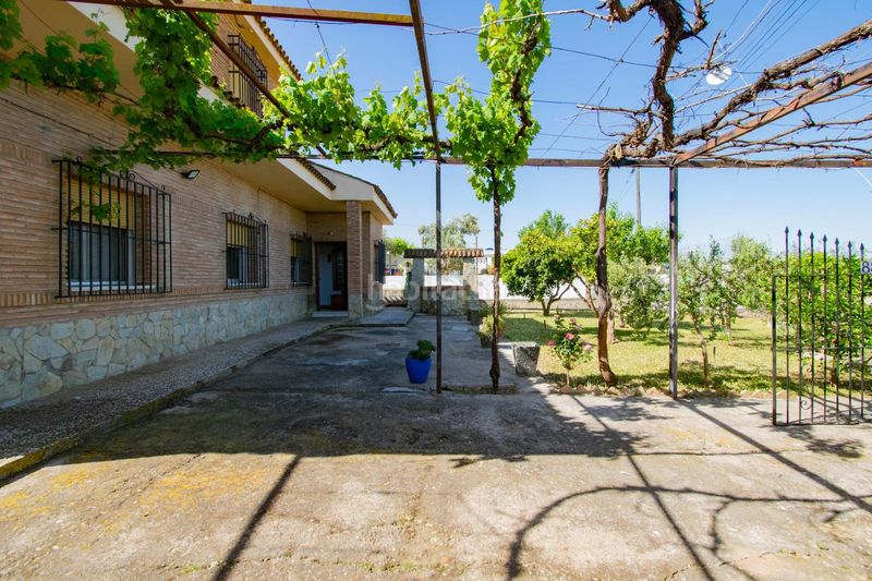 Foto f27a68a7-44ef-40ab-b4f9-957fa8cb0375. Chalet en Rinconada (La)