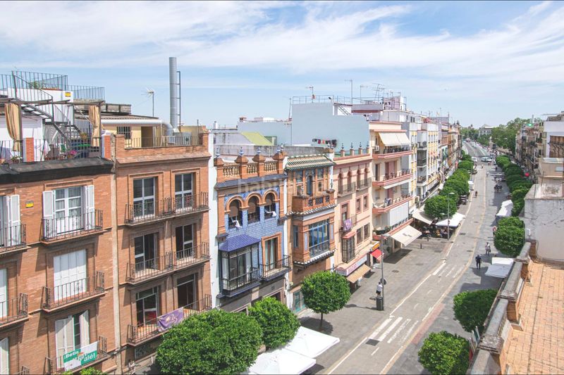 Foto 08cb9147-4592-4930-8487-4f6d1d336d2c. Pis a Triana Casco Antiguo Sevilla