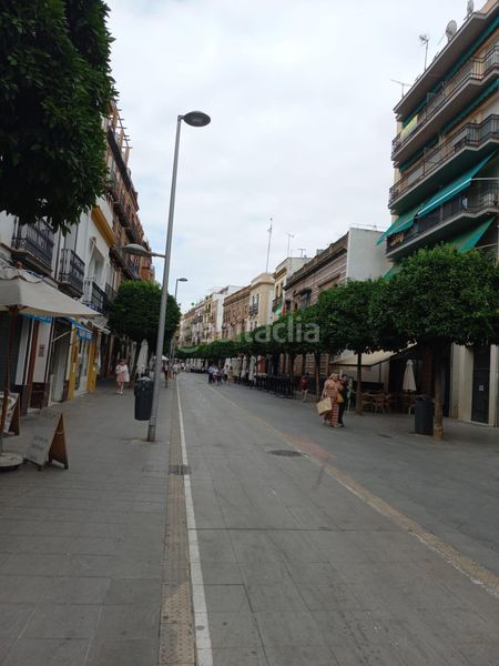 Foto 1056f5be-0cbc-42b1-92f6-25795fd538ce. Pis a Triana Casco Antiguo Sevilla