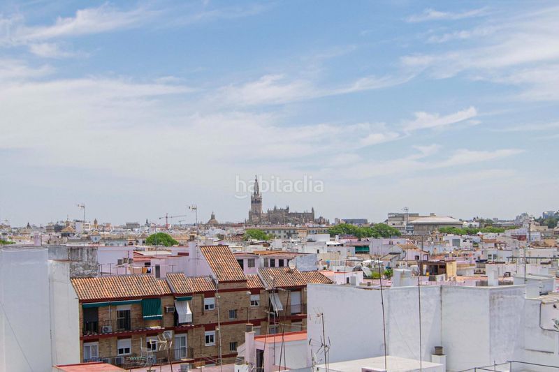 Foto 5795d1bb-8ec2-49a9-bad8-f0b4ce3b18a4. Pis a Triana Casco Antiguo Sevilla
