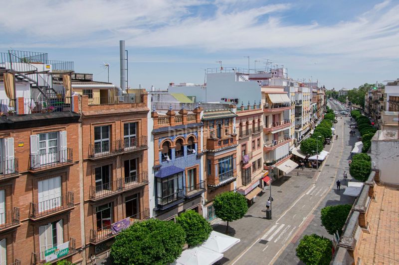 Foto b91693bb-69db-48eb-b846-2f059b9416ad. Pis a Triana Casco Antiguo Sevilla