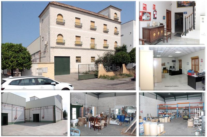 Foto fc48a771-86e2-47f3-ab09-e960afa14138. Industrial building in Pisa Mairena del Aljarafe
