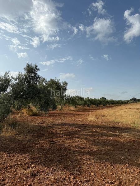 Foto 0342418e-b41c-4ea7-bbe5-2137f51d9af7. Finca rústica a Carmona