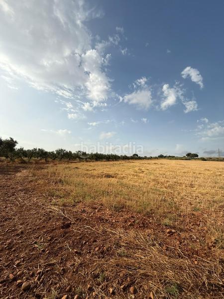 Foto 143249b8-fad1-4701-88c1-c1ba431af07f. Finca rústica a Carmona