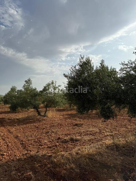 Foto 7c0e0f47-f315-41c4-b37f-648def72b477. Finca rústica a Carmona