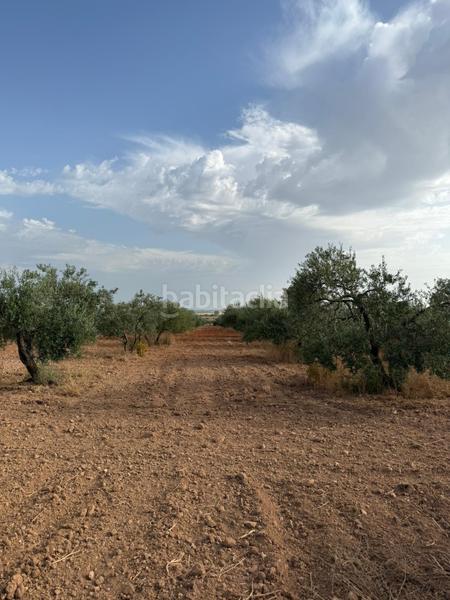 Foto d617a9e9-a967-42ff-bbe6-280f3a1172c4. Finca rústica a Carmona