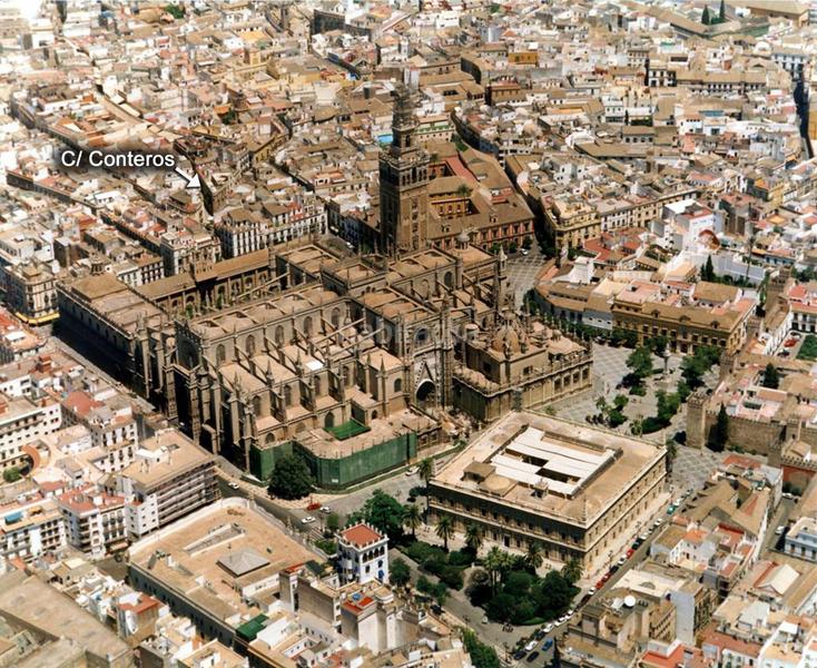 Foto c964cd41-5084-4671-aba5-52247761f040. Pis a Alfalfa - Santa Cruz Sevilla
