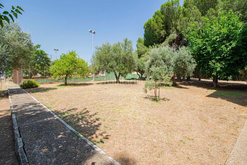 Foto ed2a449e-bb6e-41e0-9a2d-fa36fcfe8a32. Chalet con riscaldamento parcheggio piscina in Palomares del Río