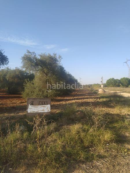 Foto 437cb3c7-f1d3-4e3e-9a2f-41e259a0b4ad. Finca rústica subparcela de secano !!!! en Almensilla