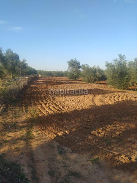 Foto 515daf1e-41b2-45cb-a54c-aafa19efb8b7. Finca rústica subparcela de secano !!!! en Almensilla