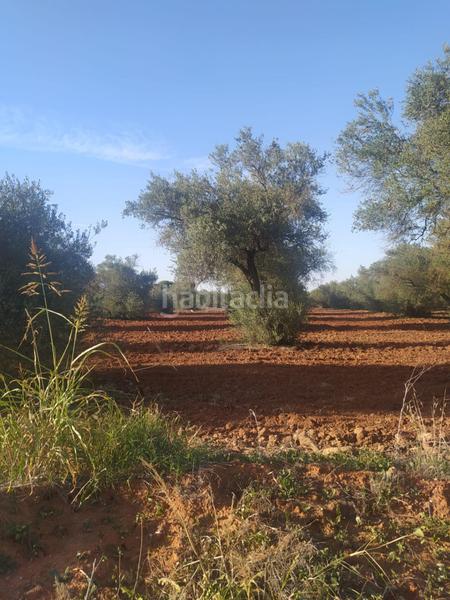 Foto 5f558416-da22-445a-8566-2252202f4c25. Finca rústica subparcela de secano !!!! en Almensilla