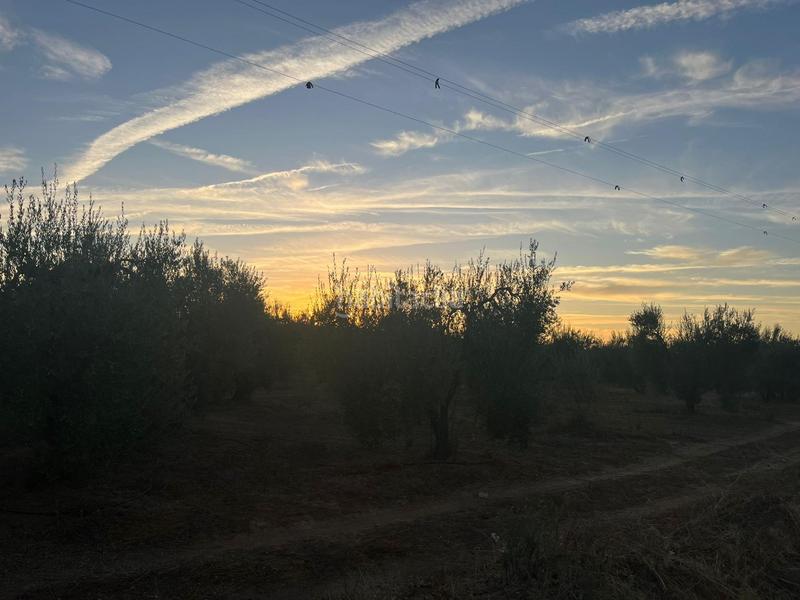 Foto 4784bcb9-4d22-4fcc-a73a-8a975c81feb5. Landgut in Huévar