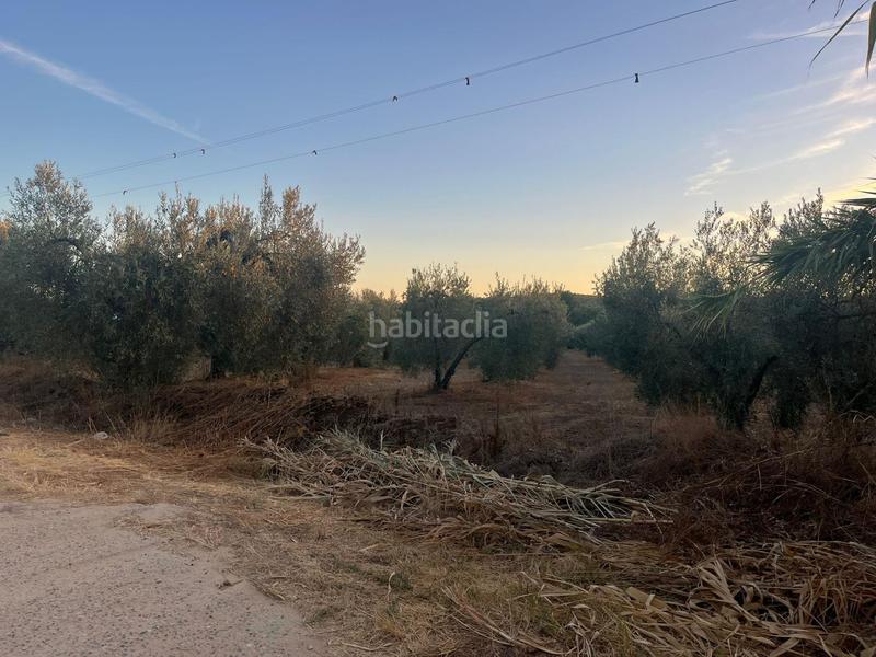 Foto 523a00b0-f5c4-40e3-8c4f-92289191c1f0. Landgut in Huévar