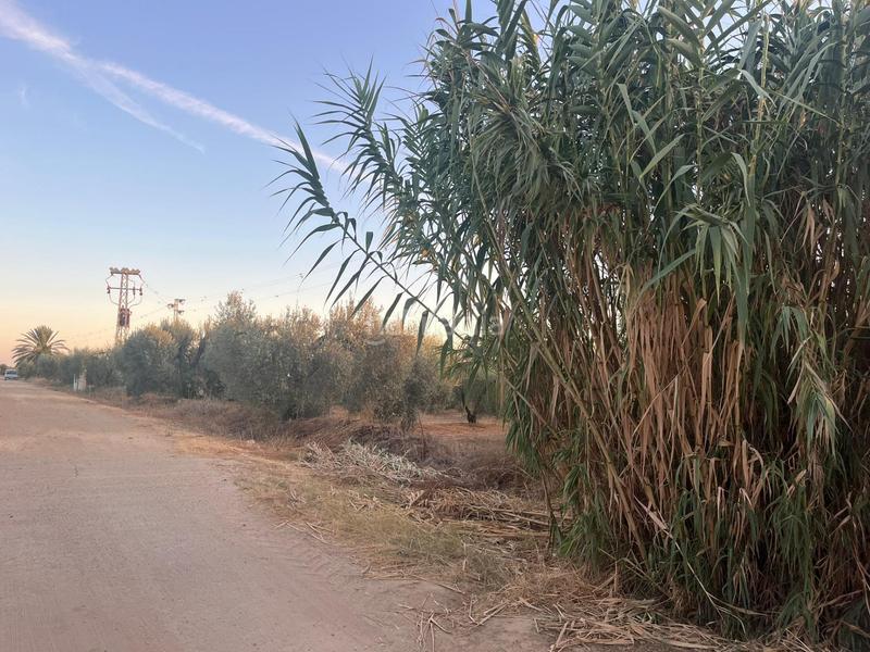 Foto 5919f94b-abf0-4ac4-9e08-2d98cfb80aea. Landgut in Huévar